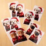 Personalized Santa Hat Sweater Pet Face Photo Double-Sided Printing Christmas Window Decals Christmas Gift for Pet Owners Pet Lovers