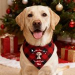 Personalizzato Natale Plaid 3D Carino Cartoon Cane Gatto Bandana regolabile per animali domestici con nome e testo Regalo di Natale di compleanno per i proprietari di animali domestici