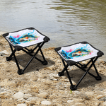 Personalized Cartoon Fish Folding Fishing Stool with Name Outdoor Activities Camping Gift for Fishing Enthusiasts