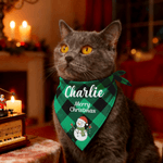 Personalized Santa Claus Snowman Soft Plaid Pet Bandana with Pet Name and Text Pet Wear Christmas Gift for Pet Owners Lovers