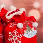 Gepersonaliseerd Schattig Dieren Baby's Eerste Kerstmis Transparant Acryl Ornament met Naam en Jaar Boomdecoratie Kerst Babyshower Cadeau voor Baby