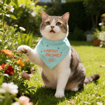 Personalized Show Girl I Protect the Family Soft Pet Bandana with Name and Adjustable Buckle Pet Wear Birthday Gift for Pet Lover