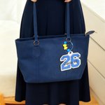 Personalized Multicolor Applique Year Design Bag Tag Keychain with Embroidered Text Senior Night School Spirit Gift for Graduates Students