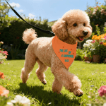 Personalized Show Girl I Protect the Family Soft Pet Bandana with Name and Adjustable Buckle Pet Wear Birthday Gift for Pet Lover