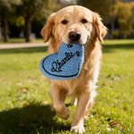 Personalised Embroidered Design Heart Pet Toy with Squeaker and Name Birthday Christmas Party Gift for Pet Owner Lover New Puppy