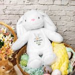 Personalised My First Easter Plush Bunny with Name and Year Easter Gift for Kid