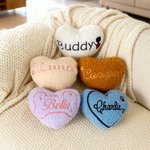 Personalised Embroidered Design Heart Pet Toy with Squeaker and Name Birthday Christmas Party Gift for Pet Owner Lover New Puppy