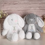 Gepersonaliseerd schattig Peter Konijn Pluche knuffeldier met naam en datum Baby Shower Doop Verjaardagscadeau voor kinderen