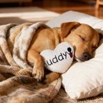 Personalised Embroidered Design Heart Pet Toy with Squeaker and Name Birthday Christmas Party Gift for Pet Owner Lover New Puppy