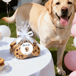 Personalized Cute Pet Photo Waterproof Sticker with Name Wedding Party Gift Decoration for Newlyweds