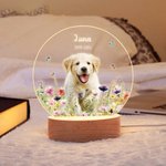Il mio piccolo amico vive ancora nella luce - Luce notturna a LED personalizzata con nome data e foto