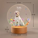 Il mio piccolo amico vive ancora nella luce - Luce notturna a LED personalizzata con nome data e foto