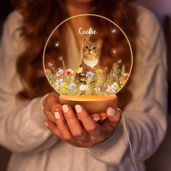 Il mio piccolo amico vive ancora nella luce - Luce notturna a LED personalizzata con nome data e foto