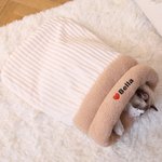 Saco de dormir para gato personalizado con diseño de huella corazón y nombre suministros para mascotas regalo de cumpleaños para dueños de mascotas