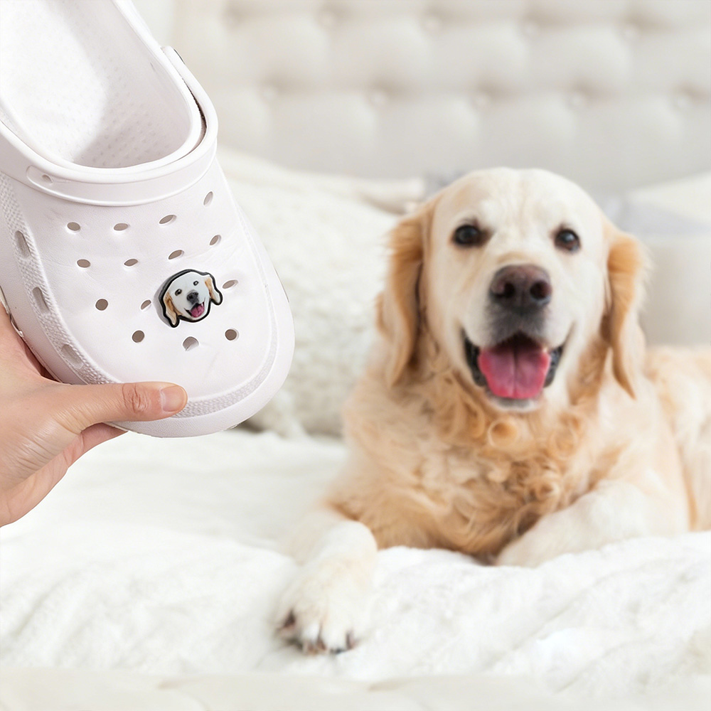 Personalised Photo Pet Head Clog Charm Shoes Accessories Memorial ...