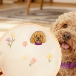 Personalized Cute Cartoon Pet Photo Knitting Needle Organizer Birthday Christmas Gift for Sewing Lovers Pet Lovers