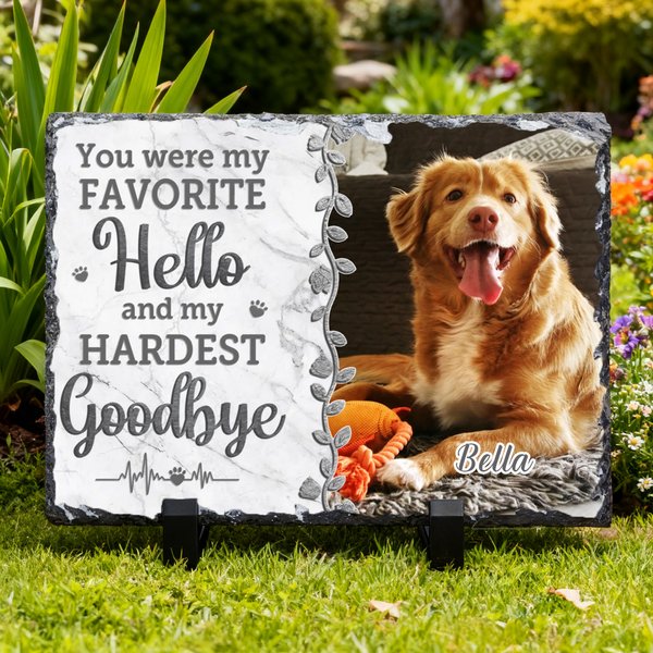 Personalized You Were My Favorite Hello Pet Memorial Photo Garden Stone with Name Courtyard Graveyard Keepsake Gift for Pet Owners Gardening Lovers