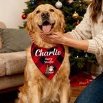 Bandana personnalisé Père Noël Bonhomme de neige avec nom de l'animal et texte Cadeau de Noël pour les propriétaires d'animaux, les amoureux