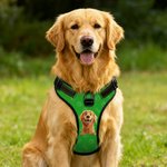 Personalized 3D Cartoon Dog Paw Bone Design Adjustable Reflective Pet Chest Harness with Name Pet Party Birthday Gift for Dog Owners