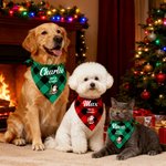 Bandana personnalisé Père Noël Bonhomme de neige avec nom de l'animal et texte Cadeau de Noël pour les propriétaires d'animaux, les amoureux