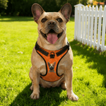 Personalized 3D Cartoon Dog Paw Bone Design Adjustable Reflective Pet Chest Harness with Name Pet Party Birthday Gift for Dog Owners