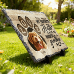 Personalized Wear-Resistant Pet Memorial Photo Garden Stone with Name and Title Courtyard Decor Pet Keepsake Gift for Pet Owners Garden Lovers
