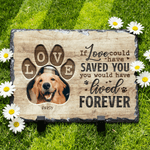 Personalized Wear-Resistant Pet Memorial Photo Garden Stone with Name and Title Courtyard Decor Pet Keepsake Gift for Pet Owners Garden Lovers