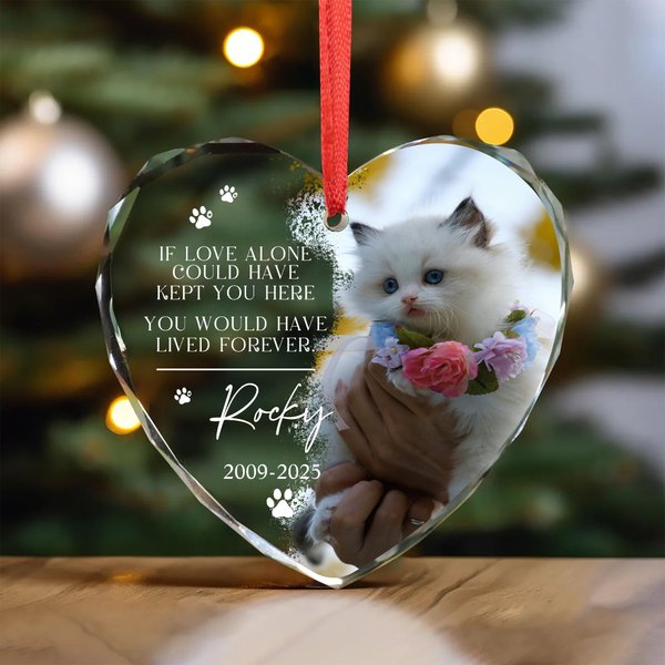Personalised Paw Print Photo Heart Round Ornament with Name and Year Tree Decor Birthday Memorial Christmas Gift for Pet Lovers Owners