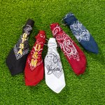 Personalized Retro Removable School Spirit Tag Clear Bag with Embroidered Text Concert Accessory Team Pride Gift for College Student Sports Lovers