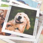 Personalized 5D Photo DIY Diamond Painting Kit Room Decor Christmas Birthday Anniversary Gift for Family Friends Couple Pet Lover