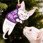 Personalised Funny Expression Cat Wooden Ornament with Name Home Decor Christmas Gift for Cat Owner Lover