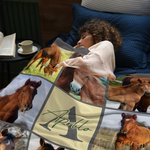 Personalized Nine-Square Grid Photo Horseshoe Soft Throw Blanket with Name and Initial Home Decor Equestrian Game Day Gift for Horse Lovers