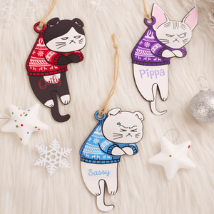 Personalised Funny Expression Cat Wooden Ornament with Name Home Decor Christmas Gift for Cat Owner Lover