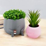 Personalised Multicolour 3D Printed Holding Drink Plant Pot with Name Desktop Decor Birthday Christmas Gift for Plant Lovers