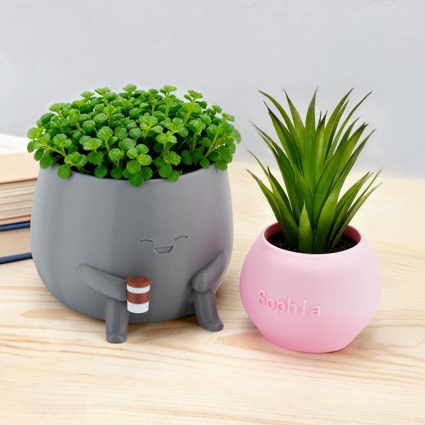 Personalized Multicolour 3D Printed Holding Drink Plant Pot with Name Desktop Decor Birthday Christmas Gift for Plant Lovers