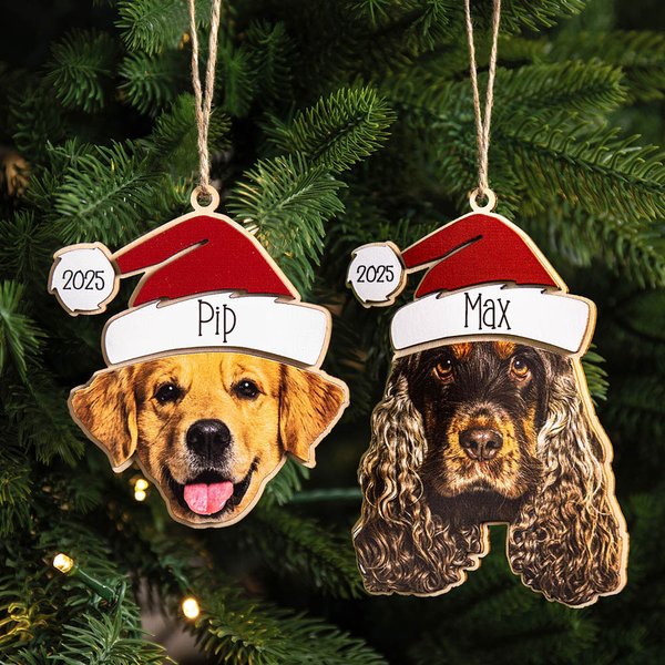 Gepersonaliseerde Kerstmuts Houten Kerst Ornament met Naam en Gezichtsfoto van Hond Kat Huisdier Kerstmis Woondecoratie Cadeau voor Dierenliefhebbers