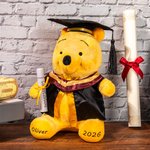 Personalized Name Graduation Winnie the Pooh for High School/College Grads Class of 2026 gift ideas