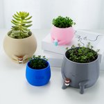 Personalised Multicolour 3D Printed Holding Drink Plant Pot with Name Desktop Decor Birthday Christmas Gift for Plant Lovers