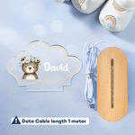 Personalisierte niedliche Tiere Stern Wolke Stil Acryl LED-Nachtlicht mit Namen und hölzerne Basis Kinderzimmer Dekoration Geburtstag Weihnachten Geschenk für Kind Neugeborenen