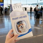 Personalised Pet Photo PU Leather Passport Holder with Name Text and Card Slots Travel Business Essential Birthday Gift for Pet Lover Traveler