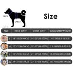 Henkilökohtainen Sydän Bone Fish Signage Pet Chest valjaat nimi Ulkoiluaktiviteetit Syntymäpäivälahja lemmikkieläinten omistajille