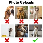 Personalised Multicolor Pet Face Photos Soft Long-Sleeve Lounge Pyjama Set with Name Birthday Gift for Pet Lovers Owners