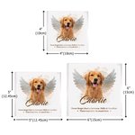 Personalized Angel Wings Pet Photo Acrylic Ornament with Name and Text Home Decor Sympathy Memorial Gift for  Pet Owner Lover