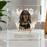 Personalized Angel Wings Pet Photo Acrylic Ornament with Name and Text Home Decor Sympathy Memorial Gift for  Pet Owner Lover