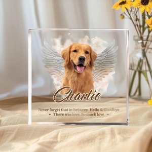Personalized Angel Wings Pet Photo Acrylic Ornament with Name and Text Home Decor Sympathy Memorial Gift for  Pet Owner Lover