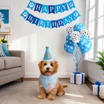 Personalised Cake Ballon Sequin Bow Tie Pet Bib Pet Birthday Set with Name Birthday Pet Party Gift for Pet Owners