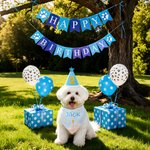 Personalised Cake Ballon Sequin Bow Tie Pet Bib Pet Birthday Set with Name Birthday Pet Party Gift for Pet Owners