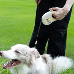 Guinzaglio personalizzato multicolore con foto e nome effetto riflettente regalo di compleanno e uso quotidiano per amanti degli animali