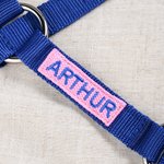 Coprinaso per cavallo personalizzato in tessuto morbido multicolore con testo ricamato accessori equestri regalo di compleanno per amanti dei cavalli