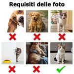 Pigiama a maniche lunghe personalizzato con foto di animale domestico e testo maglietta in cotone regalo per amanti degli animali